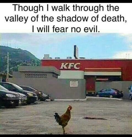 chicken-of-faith-215333.jpg