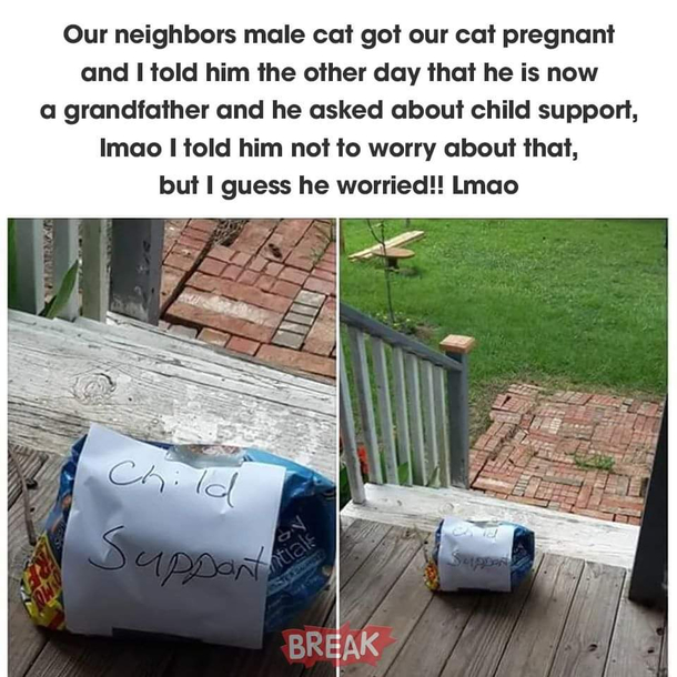 Child support