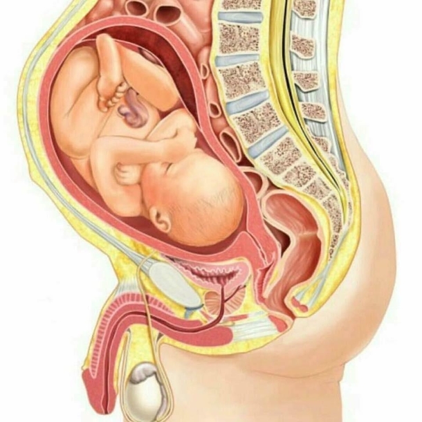 Childbirth is a beautiful thing