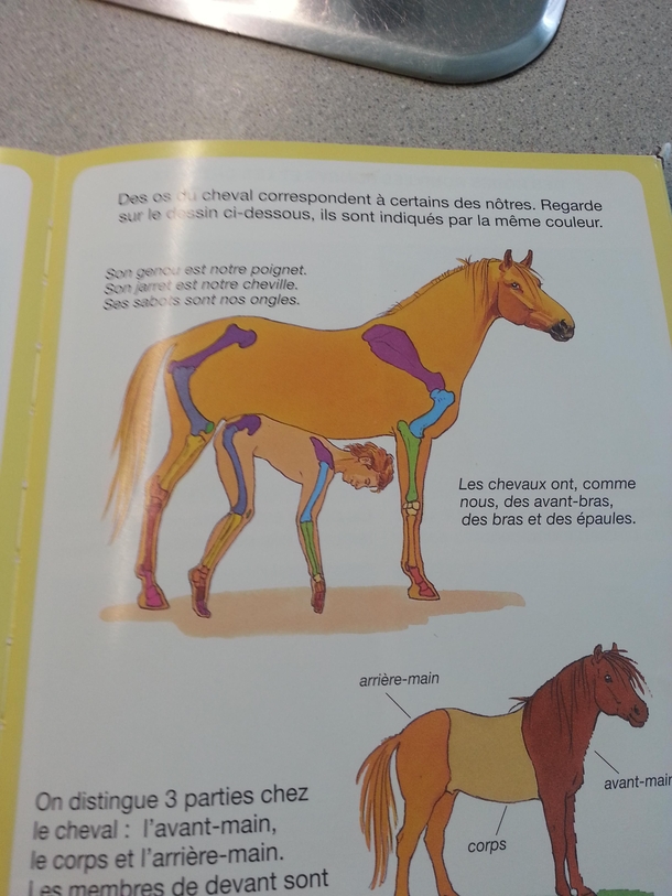 Childrens book are not for adults