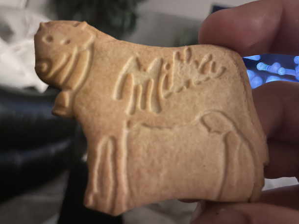 Choccy biscuit