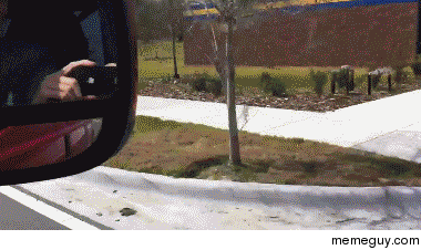 Choo Choo