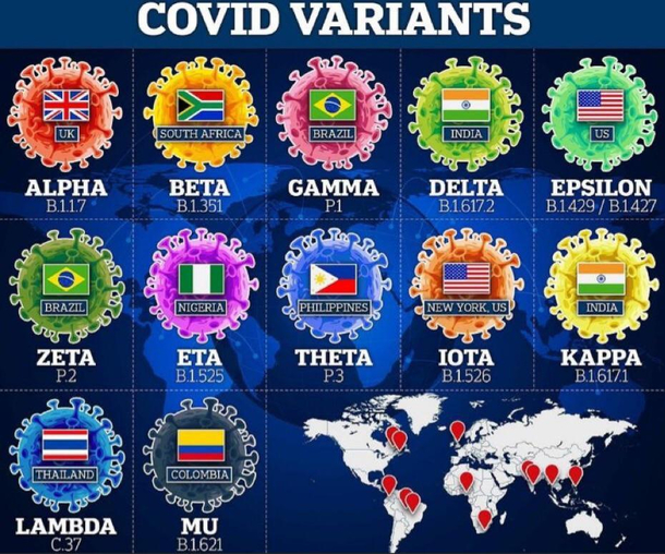 CHOOSE YOUR FIGHTER