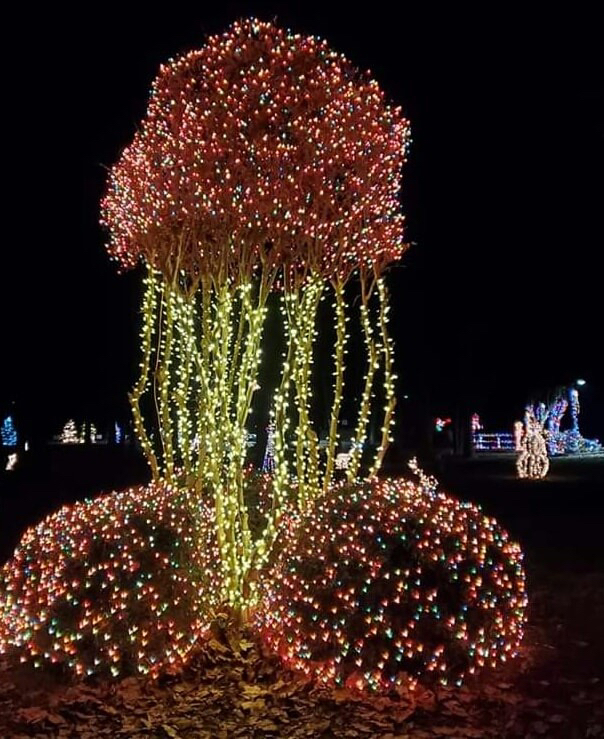 Christmas decorations at the local park