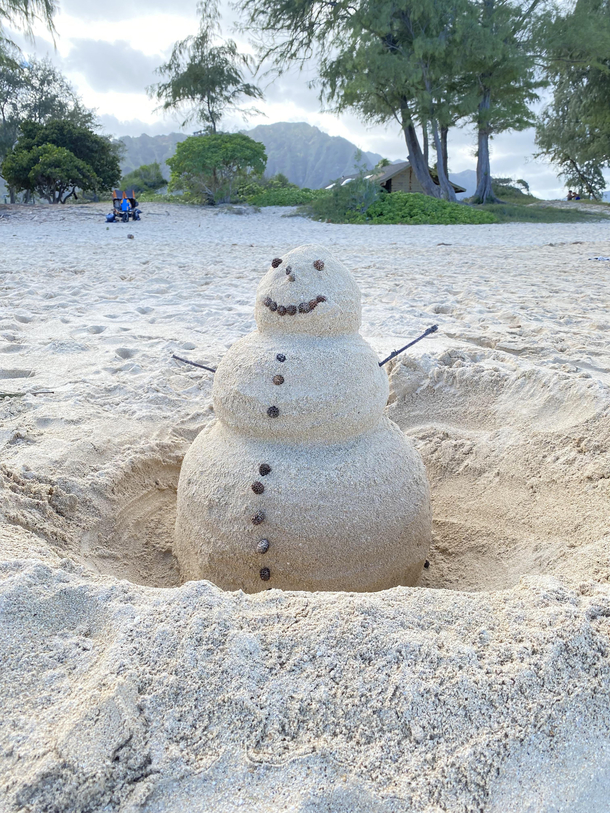 Christmas in Hawaii