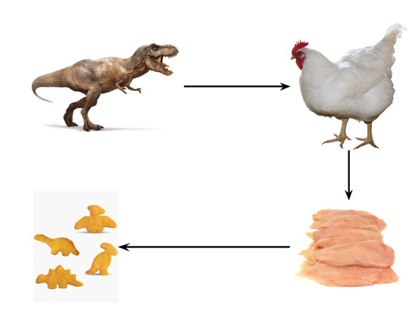 Circle of life
