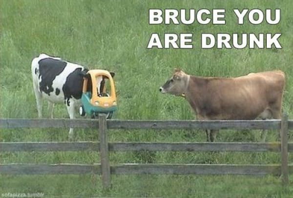 Classic Bruce