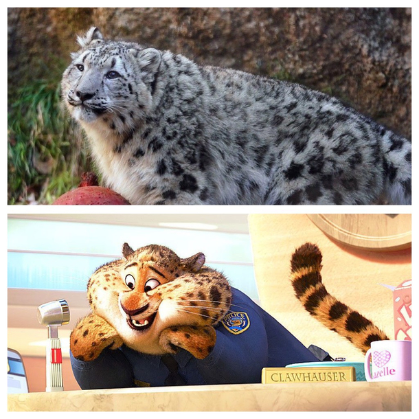 Clawhauser vibes