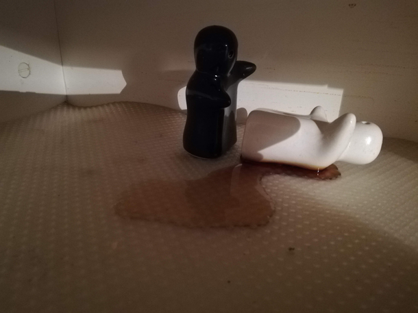 Cleaned up kitchen shelf and discovered a murder scene salt and pepper shakers on top of spilled honey