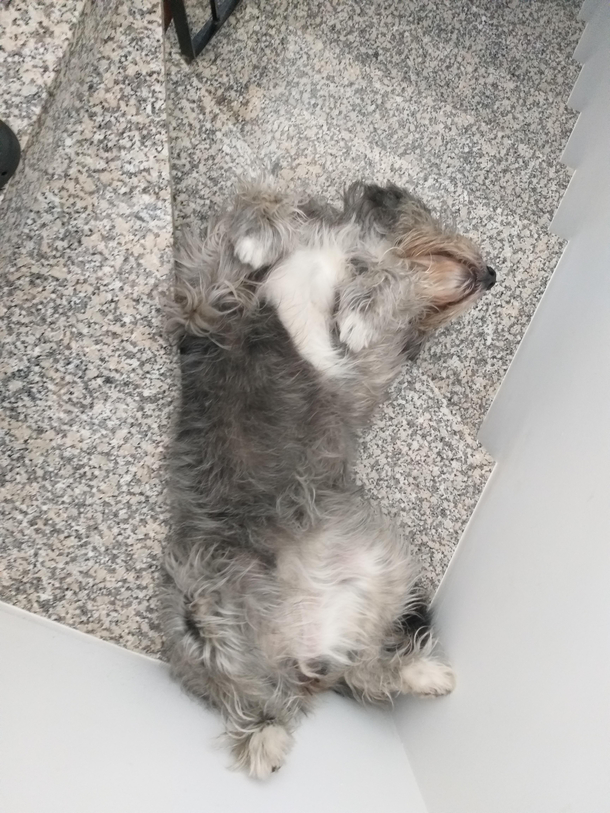 Clearly the best place to take a nap in