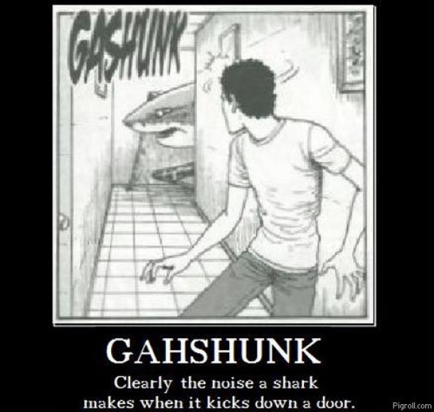 Clearly the noise a shark makes when it kicks down a door