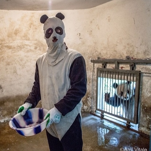 Clever thief uses disguise to break into a poor familys home to steal a priceless bowl while father looks on in rage and horror from inside an air vent