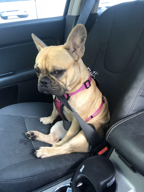 Click it or ticket sista