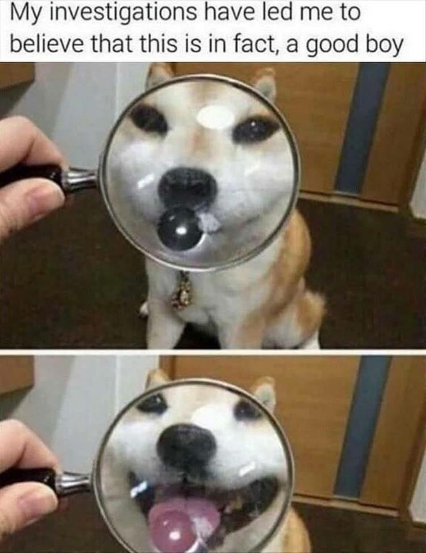 Close investigation