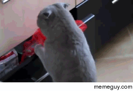Close what drawer