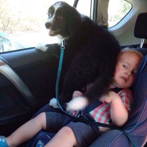 Cmon Rover use the other window