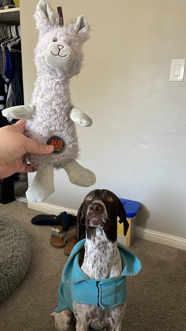 Cmon throw it