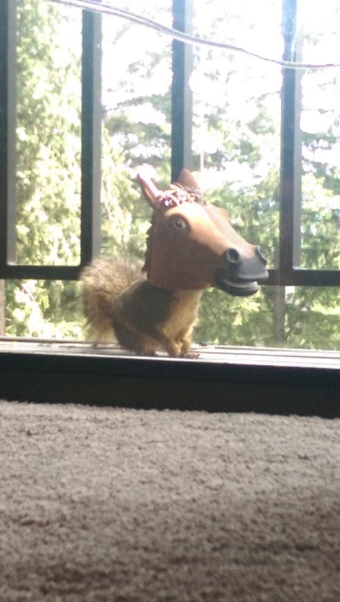Co-worker finally captured a pic of a squirrel using his new horse head feeder