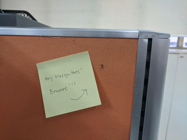 Co-workers solution to recent office mosquitoes problem