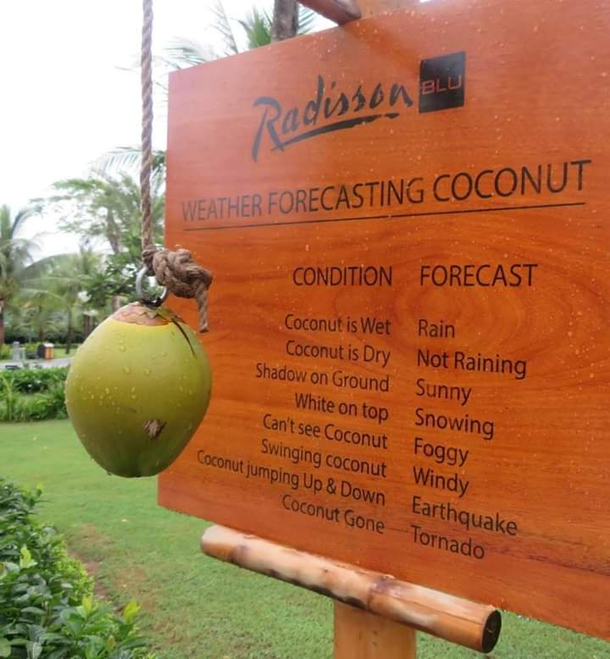 Coconut Weather Forecast