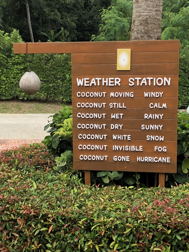 Coconut weather predictor