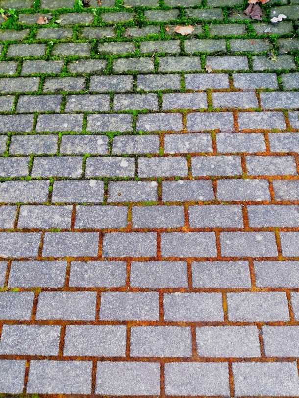 Colour gradient moss