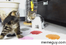 Come at me bro