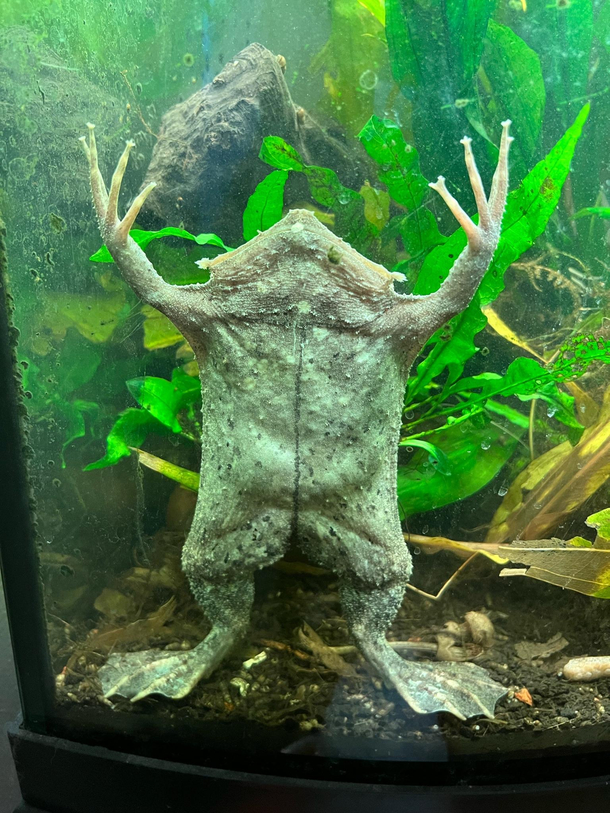 Come at me Bro I aint scared of you