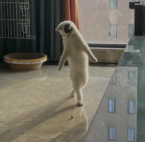 Come dance with me