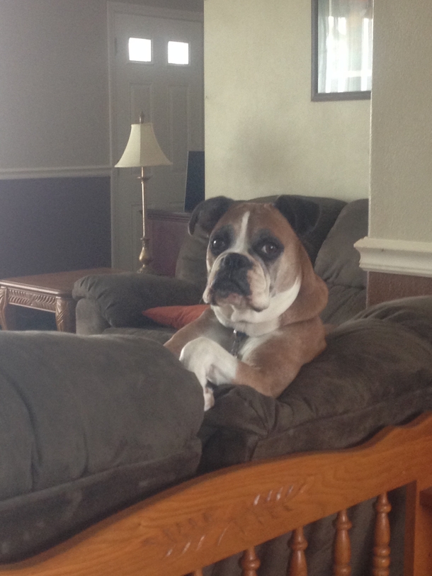 Come here often