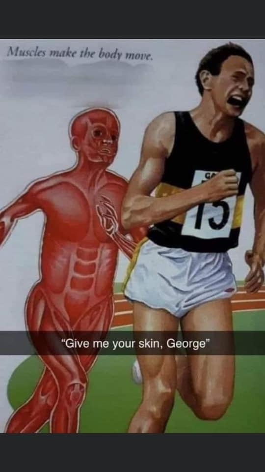Come here you little shit