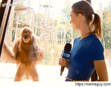 Come into my cage I dare you
