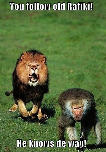 Come Simba
