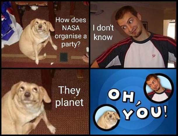 Comedy right here