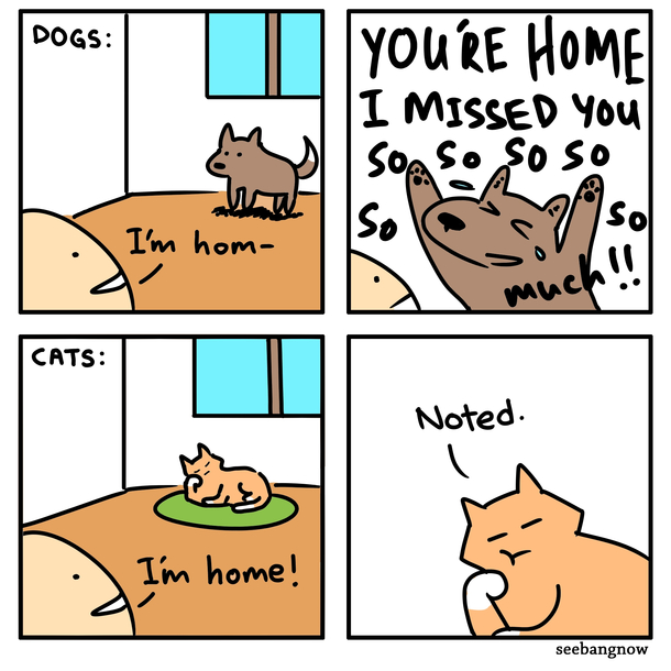 Coming home to pets
