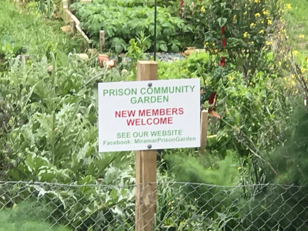 Commit crime to join