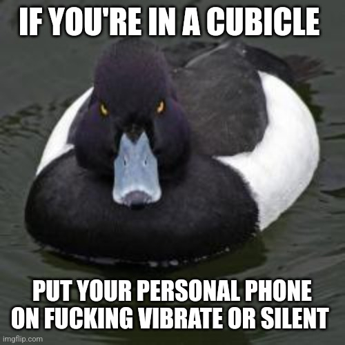 Common Courtesy People