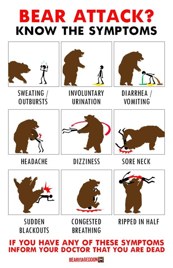 Common symptoms of a Bear attack