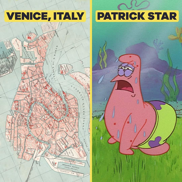 Compare the pair
