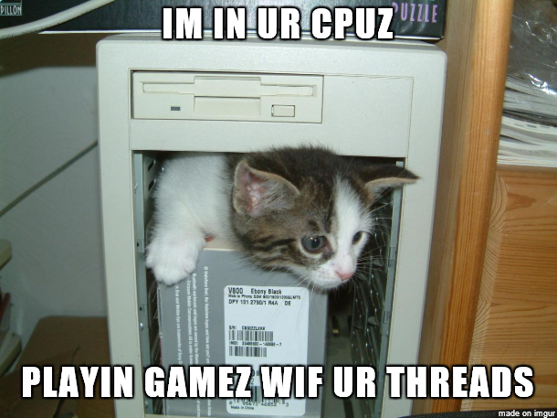 computer kitteh