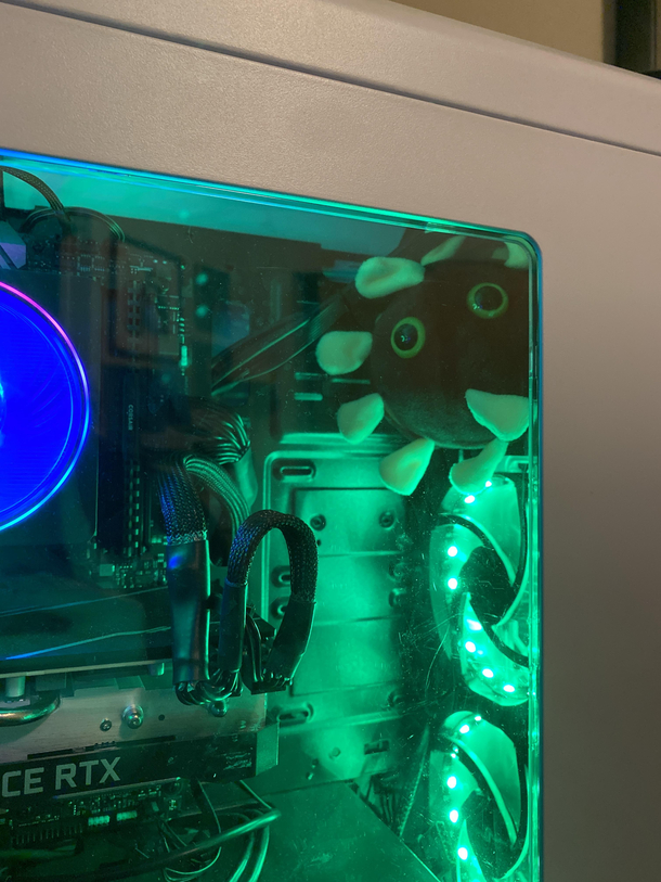 Computer Virus