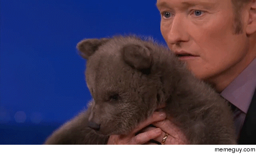 Conan and the Cub