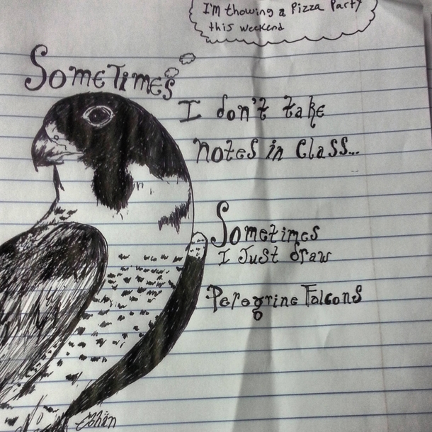 Confession Peregrine