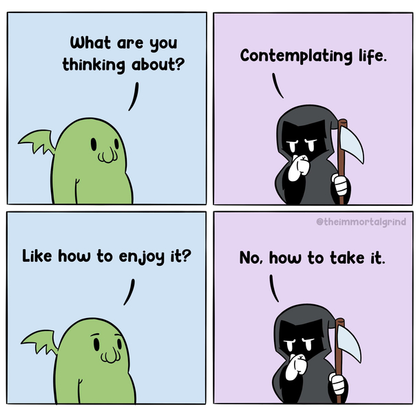 Contemplating life