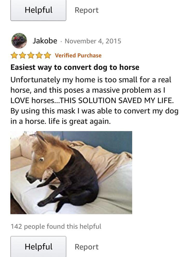 Convert dog to horse