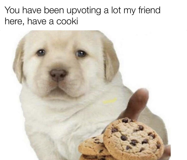 Cooki take it