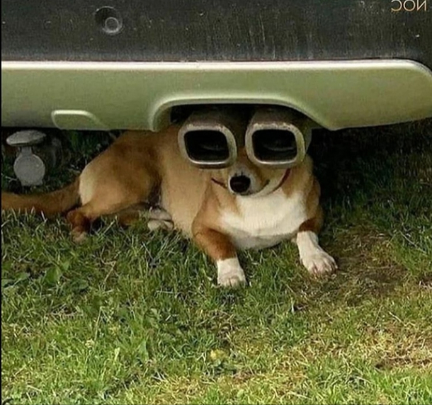 Cool dude