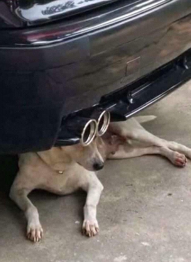 Cool shades