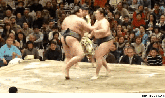 Cool Sumo Wrestling