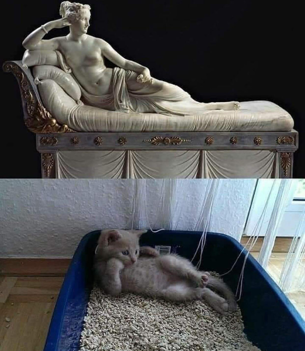 Copy cat